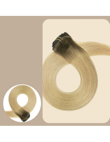 Estensione a Clips Premium Russian Hair T8/DB4 de l' environnement